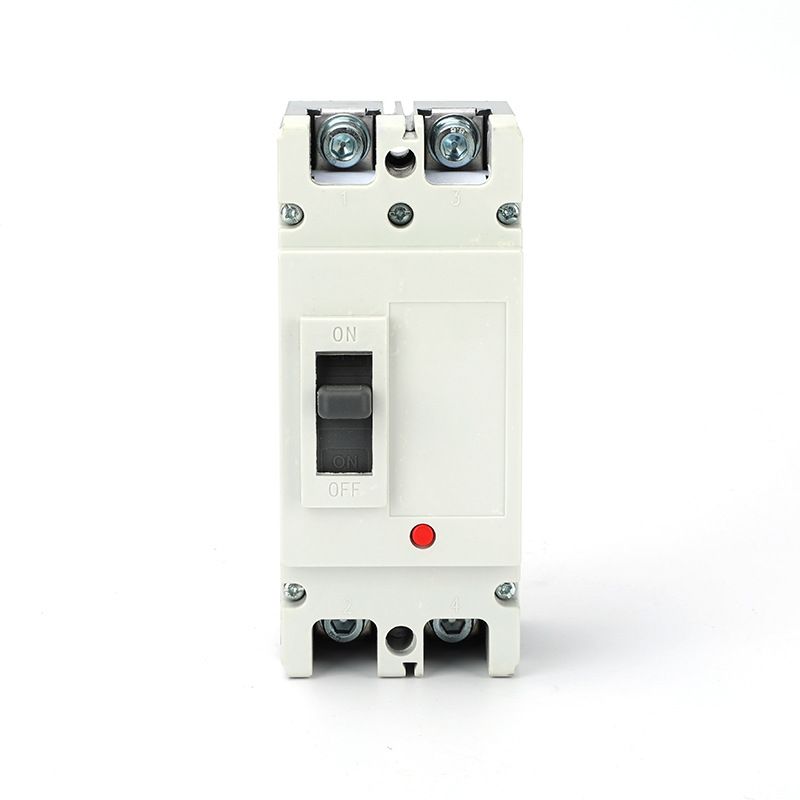 OEM ZYMM1-125 2P 200A Series 14 Molded Case Breaker