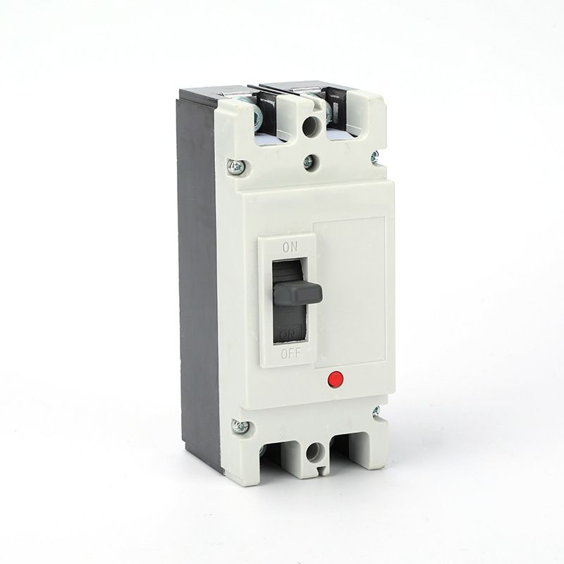 OEM ZYMM1-125 2P 200A Molded Case Breaker